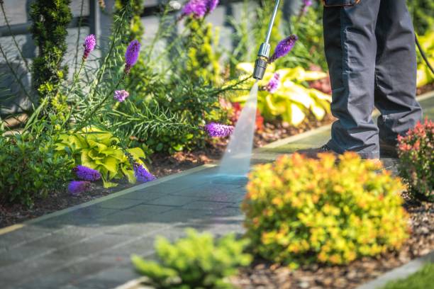 Reliable Lawton, IA Pressure Washing Solutions