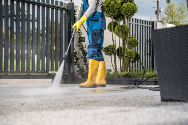 Best Patio and Deck Pressure Washing  in Lawton, IA