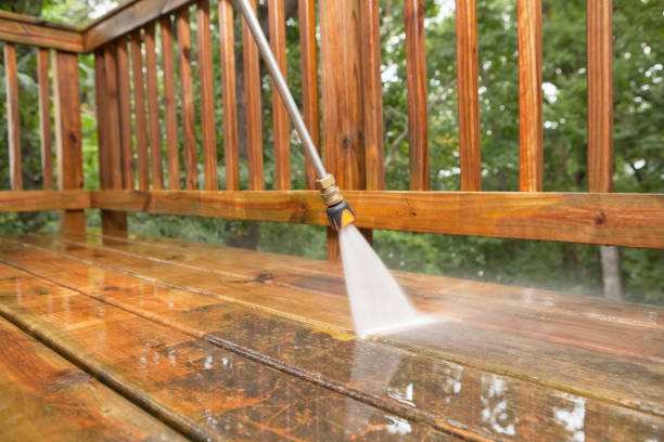 Animal Enclosure Cleaning in Lawton, IA